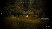 5. Hunting Simulator 2 Beretta Weapon Pack (PC) (klucz STEAM)