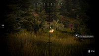 8. Hunting Simulator 2 Bear Hunter Pack PL (DLC) (PC) (klucz STEAM)