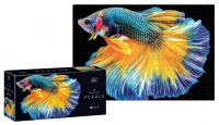 1. Interdruk Puzzle 250 el. Colourful Nature 6 Fish 342041