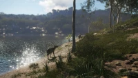 7. theHunter: Call of the Wild™ - Emerald Coast Australia (DLC) (PC) (klucz STEAM)