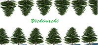 1. Vickinachi (PC) (klucz STEAM)